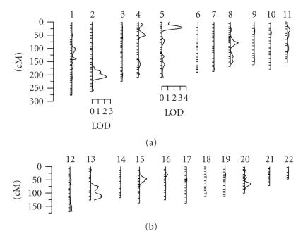 https://cdn.ncbi.nlm.nih.gov/pmc/blobs/de59/2989697/33ccbef424ee/IJVM2010-490241.001.jpg