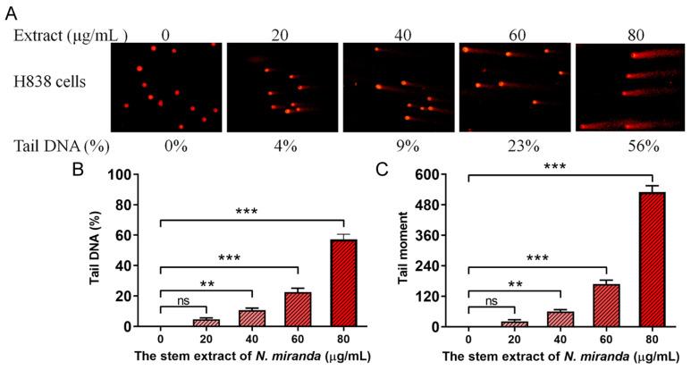 https://cdn.ncbi.nlm.nih.gov/pmc/blobs/de5c/10974603/52715f7a88ea/plants-13-00797-g005.jpg