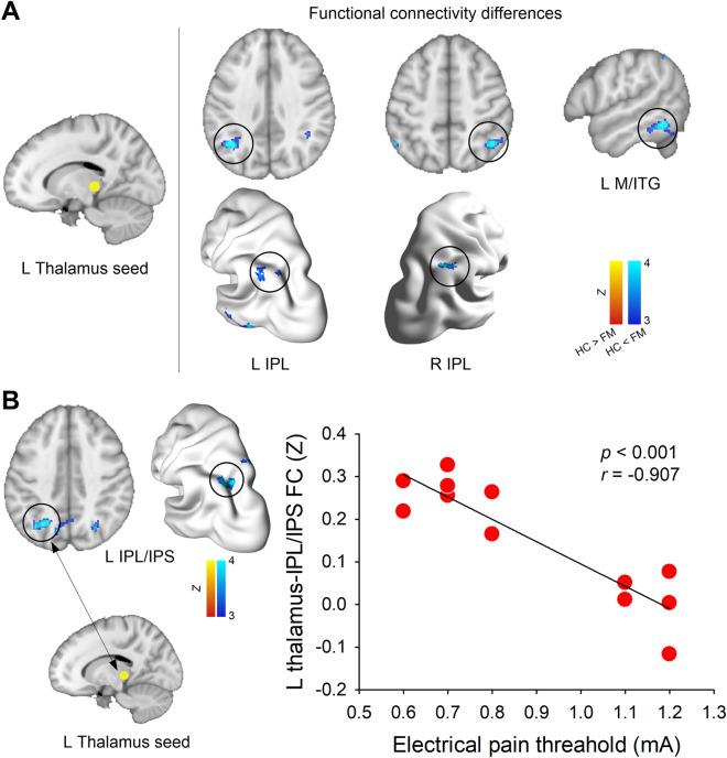 https://cdn.ncbi.nlm.nih.gov/pmc/blobs/de5c/8640058/eea9d6ba40cb/41598_2021_2616_Fig4_HTML.jpg