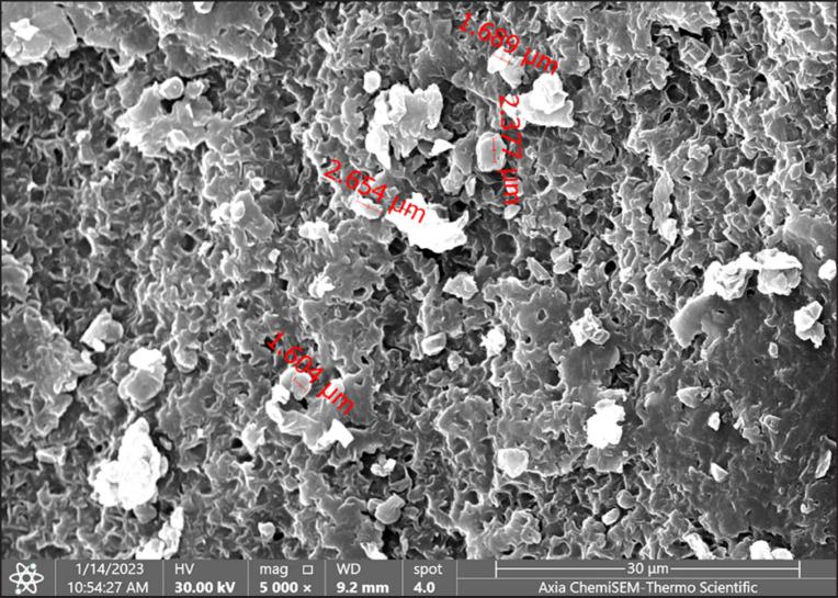 https://cdn.ncbi.nlm.nih.gov/pmc/blobs/de5d/11199755/f6d0b9283994/OpenVetJ-14-1269-g003.jpg