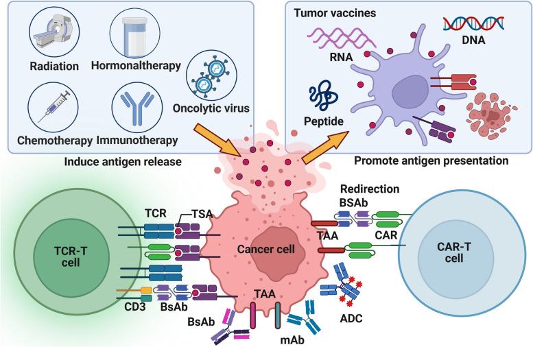 https://cdn.ncbi.nlm.nih.gov/pmc/blobs/de5e/11137916/1662c8065e19/40364_2024_599_Fig4_HTML.jpg