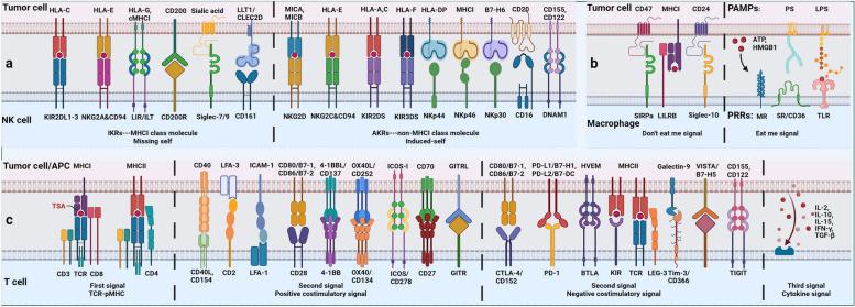 https://cdn.ncbi.nlm.nih.gov/pmc/blobs/de5e/11137916/4fea06cb42c6/40364_2024_599_Fig2_HTML.jpg