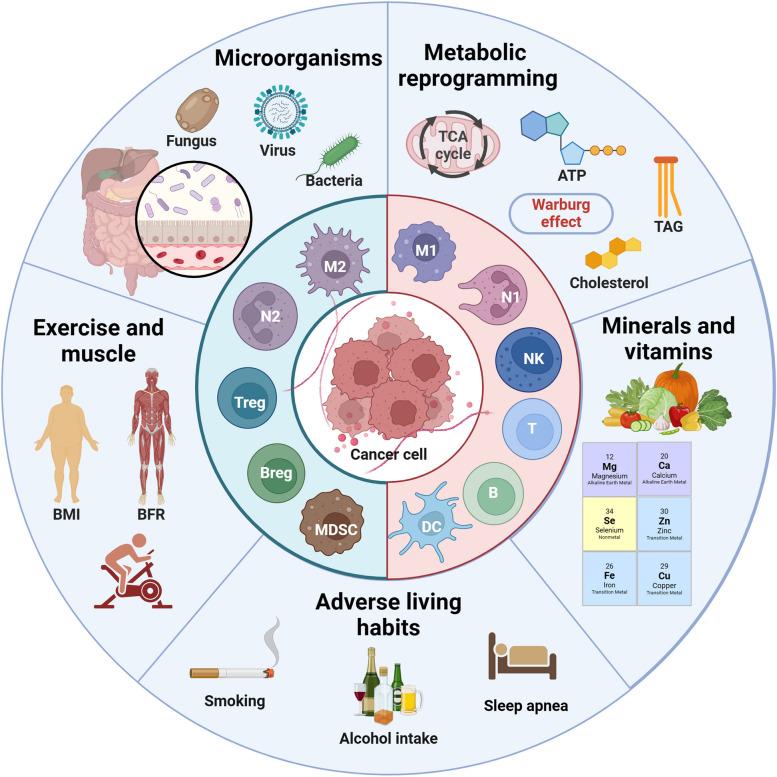 https://cdn.ncbi.nlm.nih.gov/pmc/blobs/de5e/11137916/ea917776ff49/40364_2024_599_Fig3_HTML.jpg
