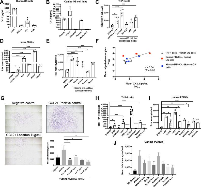 https://cdn.ncbi.nlm.nih.gov/pmc/blobs/de5e/9377766/44992a5e789b/662fig2.jpg