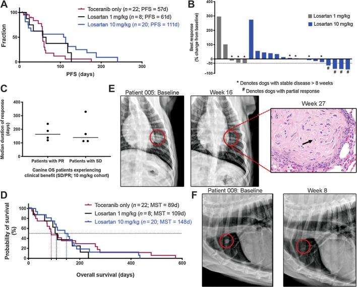 https://cdn.ncbi.nlm.nih.gov/pmc/blobs/de5e/9377766/98b6ea3ef4cb/662fig4.jpg