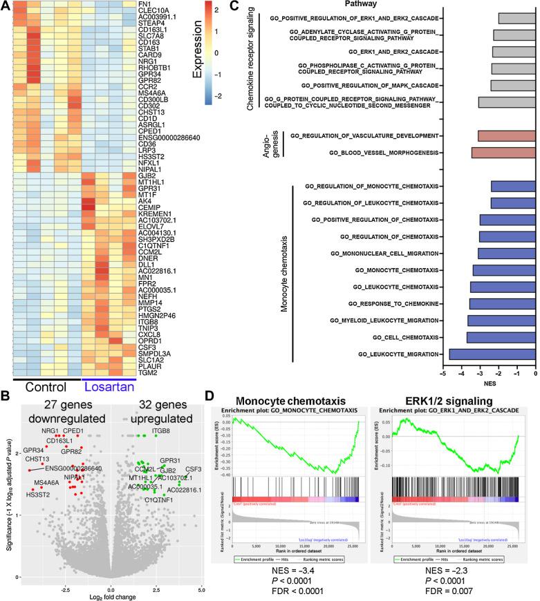 https://cdn.ncbi.nlm.nih.gov/pmc/blobs/de5e/9377766/cf199f32fc15/662fig6.jpg