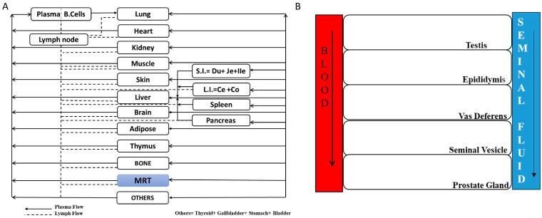 https://cdn.ncbi.nlm.nih.gov/pmc/blobs/de60/11843977/d63e388dcd73/antibodies-14-00017-g001.jpg