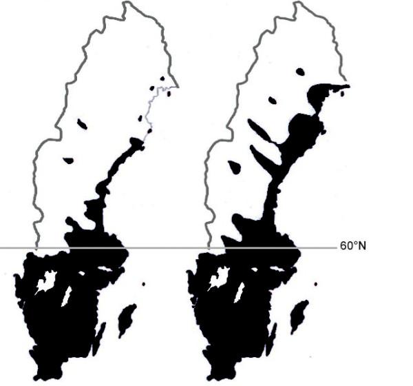 https://cdn.ncbi.nlm.nih.gov/pmc/blobs/de61/3311093/18a0640a8de2/1756-3305-5-8-3.jpg