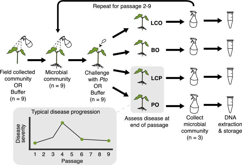 https://cdn.ncbi.nlm.nih.gov/pmc/blobs/de62/12211302/751783d20aef/40793_2025_734_Fig1_HTML.jpg
