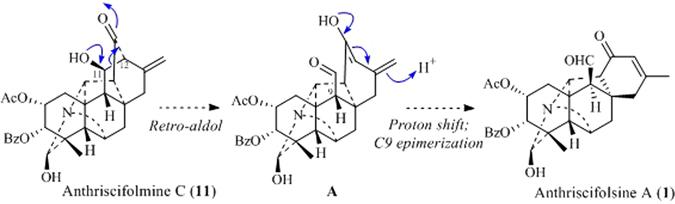 https://cdn.ncbi.nlm.nih.gov/pmc/blobs/de63/5519776/824c07ed76dc/41598_2017_5372_Fig5_HTML.jpg