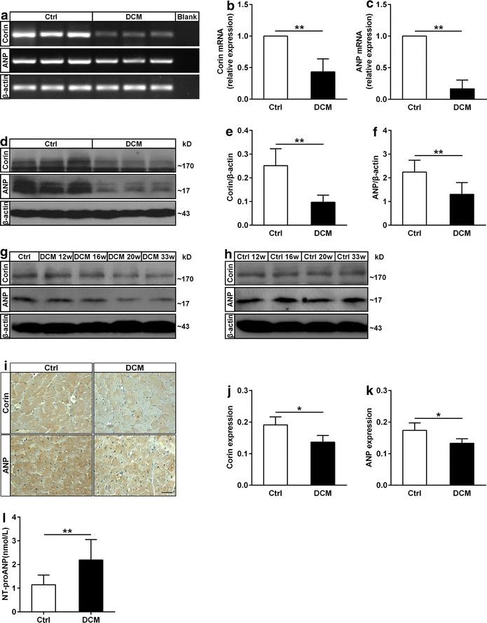 https://cdn.ncbi.nlm.nih.gov/pmc/blobs/de64/4597453/7f619883ce5e/12933_2015_298_Fig3_HTML.jpg