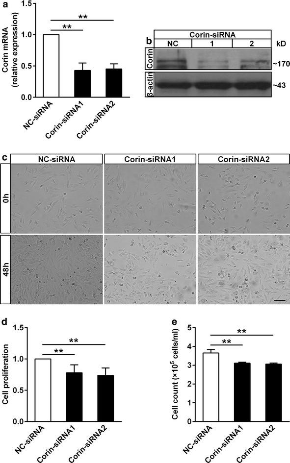 https://cdn.ncbi.nlm.nih.gov/pmc/blobs/de64/4597453/90b9bd96f8b3/12933_2015_298_Fig5_HTML.jpg
