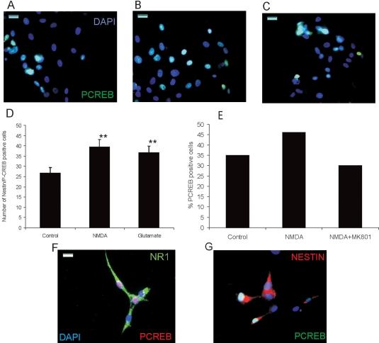 https://cdn.ncbi.nlm.nih.gov/pmc/blobs/de67/2666774/0d0caf2cd234/mv-v15-713-f3.jpg