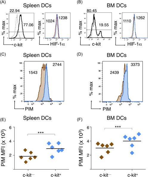 https://cdn.ncbi.nlm.nih.gov/pmc/blobs/de69/9826237/8a4aa0295dc2/CBF-40-718-g001.jpg