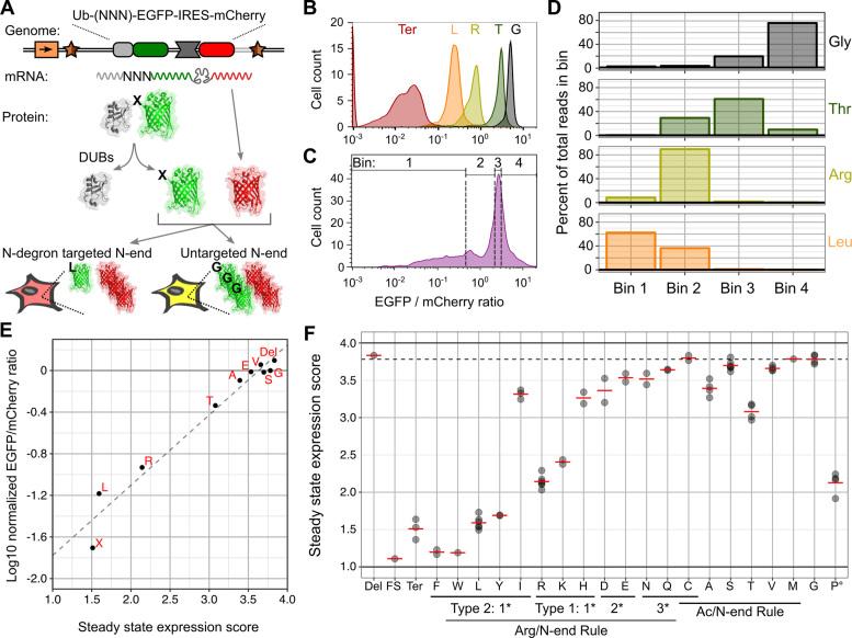 https://cdn.ncbi.nlm.nih.gov/pmc/blobs/de6a/5499817/3a7ffd9699de/gkx183fig5.jpg