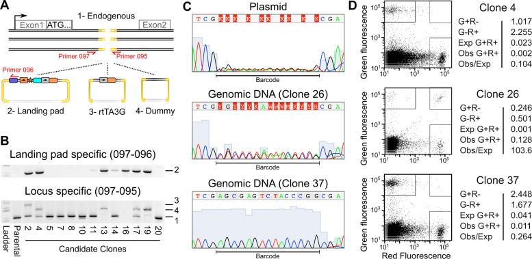 https://cdn.ncbi.nlm.nih.gov/pmc/blobs/de6a/5499817/43948e0330e1/gkx183fig2.jpg