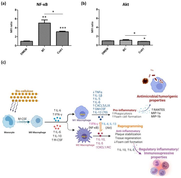 https://cdn.ncbi.nlm.nih.gov/pmc/blobs/de6b/8540158/091b306b6d54/pharmaceutics-13-01592-g010.jpg