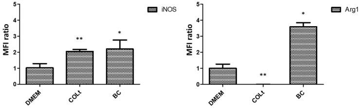 https://cdn.ncbi.nlm.nih.gov/pmc/blobs/de6b/8540158/4ec0676abc83/pharmaceutics-13-01592-g007.jpg
