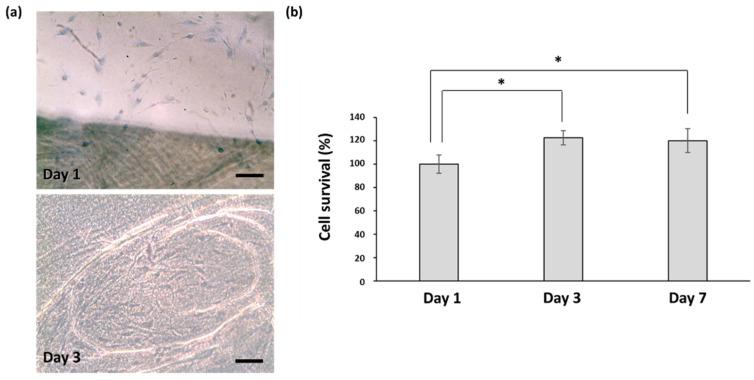 https://cdn.ncbi.nlm.nih.gov/pmc/blobs/de6b/8540158/92add89876ea/pharmaceutics-13-01592-g002.jpg