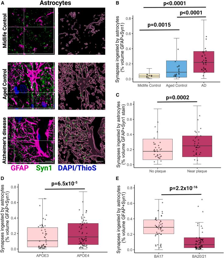 https://cdn.ncbi.nlm.nih.gov/pmc/blobs/de70/10518633/af74970f52e0/gr1.jpg