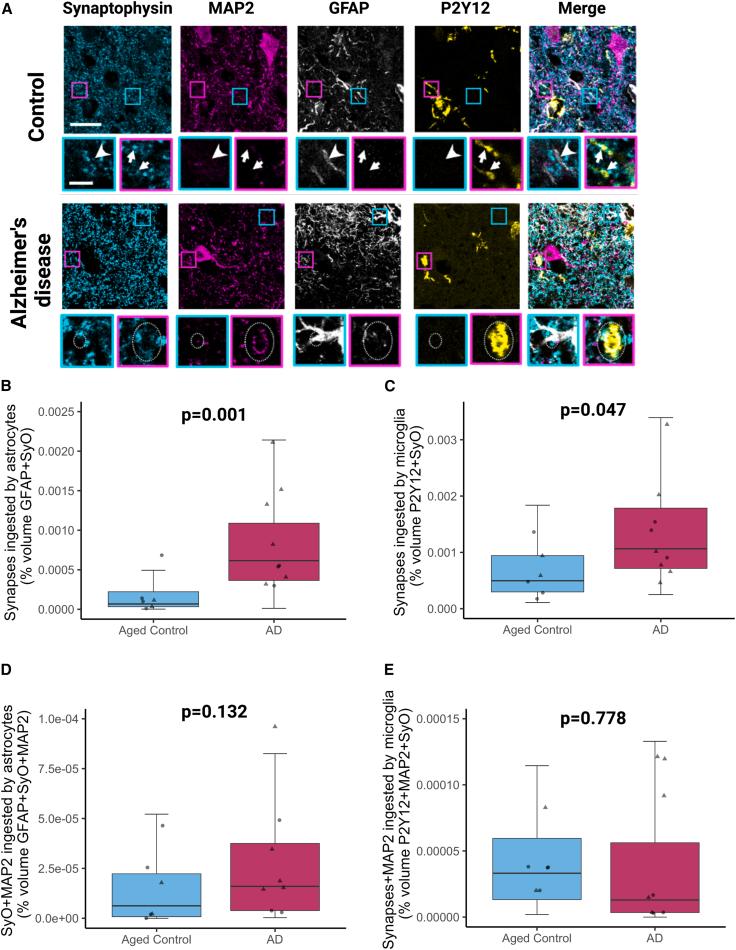 https://cdn.ncbi.nlm.nih.gov/pmc/blobs/de70/10518633/f768979350be/gr3.jpg