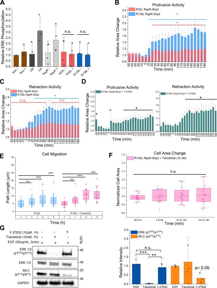 https://cdn.ncbi.nlm.nih.gov/pmc/blobs/de70/9284425/0d3d343d63eb/JCB_202111066_FigS3.jpg