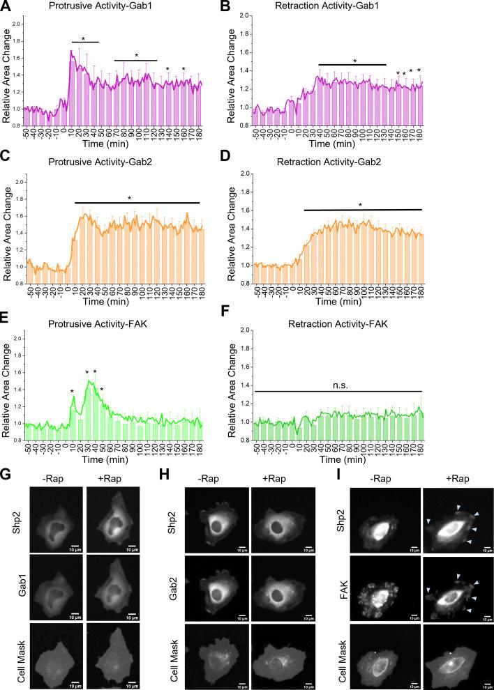 https://cdn.ncbi.nlm.nih.gov/pmc/blobs/de70/9284425/660d87bffade/JCB_202111066_FigS4.jpg