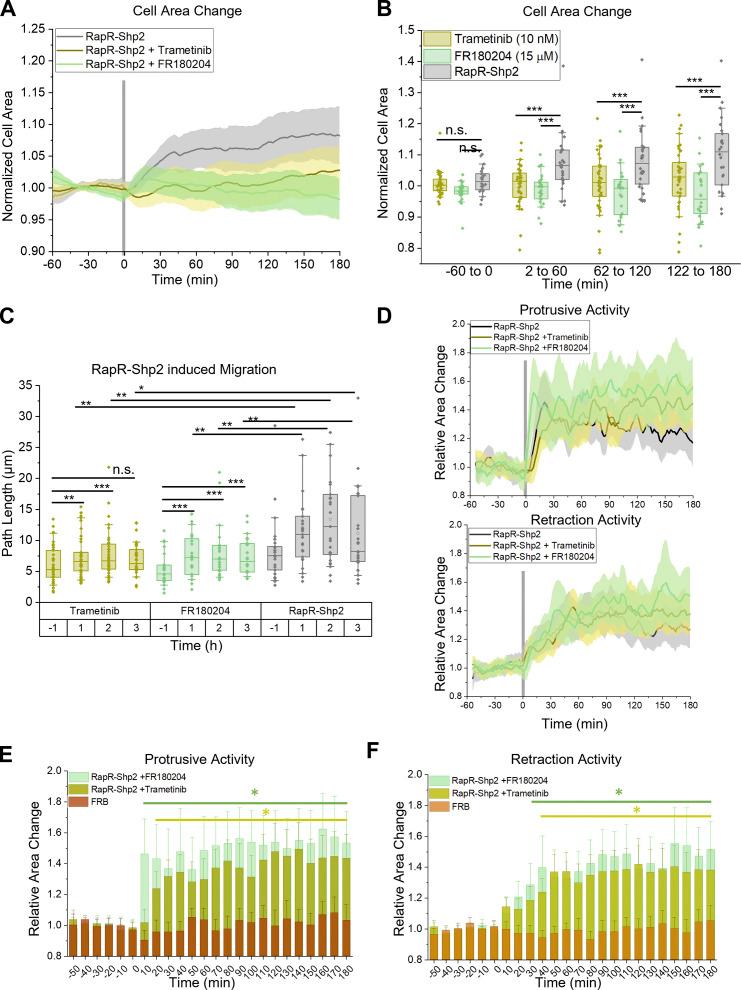 https://cdn.ncbi.nlm.nih.gov/pmc/blobs/de70/9284425/6f57ea521fa1/JCB_202111066_Fig6.jpg