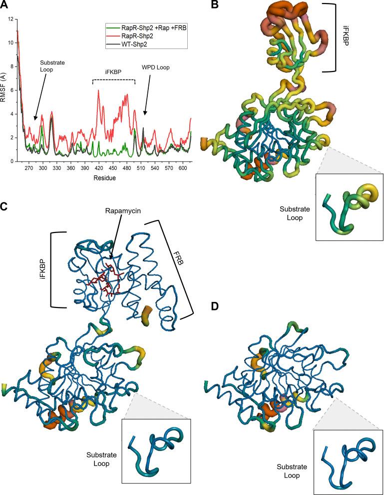 https://cdn.ncbi.nlm.nih.gov/pmc/blobs/de70/9284425/9cbe2860bbc8/JCB_202111066_Fig3.jpg