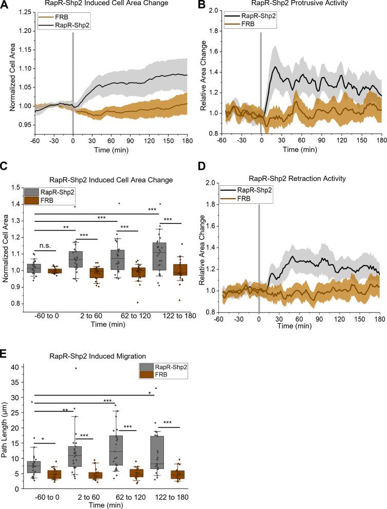 https://cdn.ncbi.nlm.nih.gov/pmc/blobs/de70/9284425/b587909dcc26/JCB_202111066_Fig5.jpg