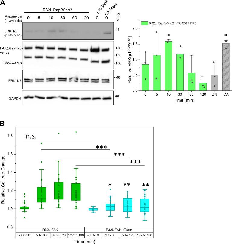https://cdn.ncbi.nlm.nih.gov/pmc/blobs/de70/9284425/c75109537cfb/JCB_202111066_FigS5.jpg