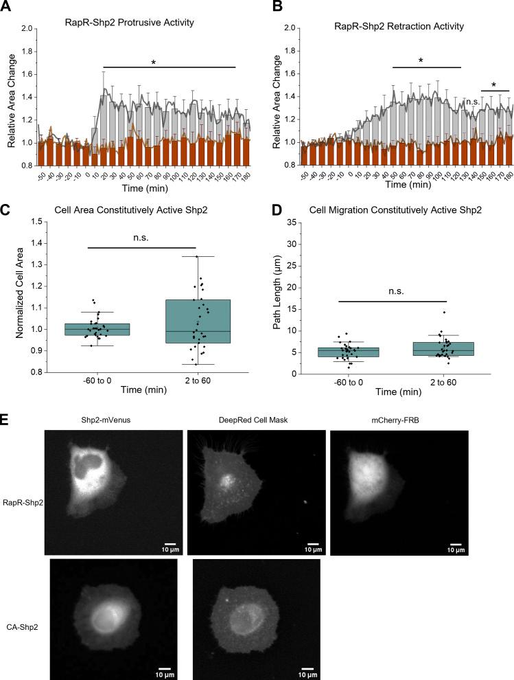 https://cdn.ncbi.nlm.nih.gov/pmc/blobs/de70/9284425/c8bcc0905997/JCB_202111066_FigS2.jpg