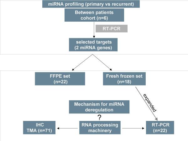 https://cdn.ncbi.nlm.nih.gov/pmc/blobs/de71/2383925/0cfd7888e95d/1476-4598-7-35-1.jpg
