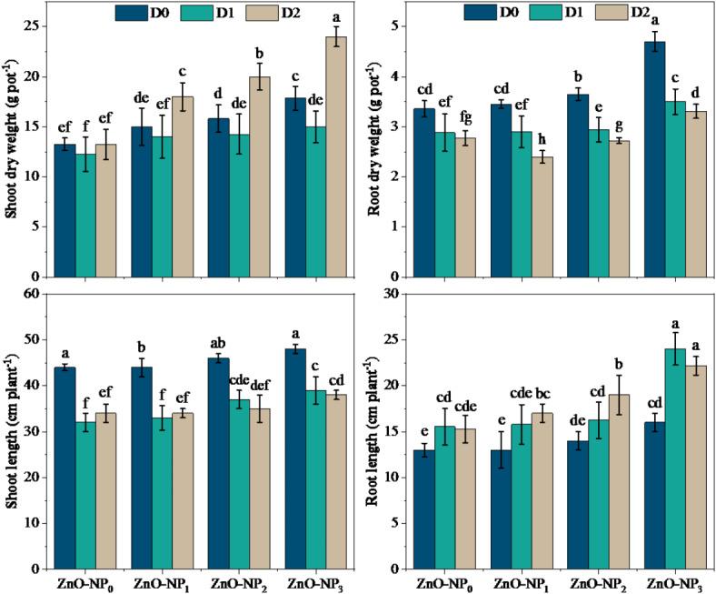 https://cdn.ncbi.nlm.nih.gov/pmc/blobs/de73/11822009/24047931e3f6/41598_2025_89718_Fig2_HTML.jpg