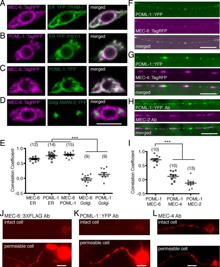 https://cdn.ncbi.nlm.nih.gov/pmc/blobs/de73/4831881/1ff9d2cd7ae1/1272fig1.jpg
