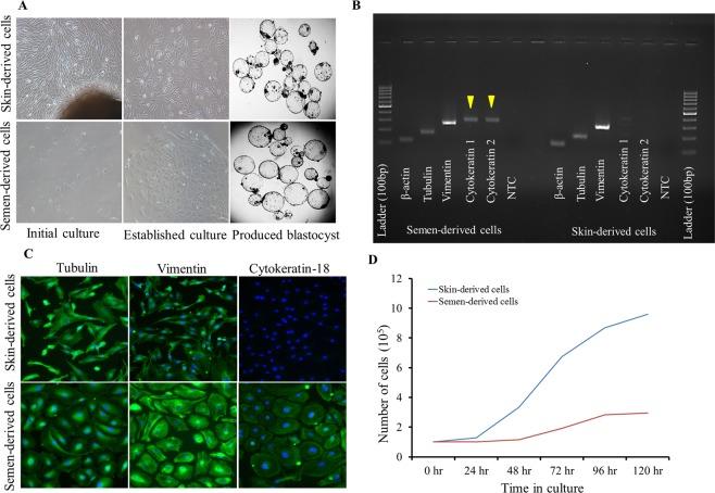 https://cdn.ncbi.nlm.nih.gov/pmc/blobs/de74/6684639/19b206eb962a/41598_2019_47909_Fig1_HTML.jpg