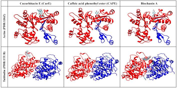 https://cdn.ncbi.nlm.nih.gov/pmc/blobs/de75/11701009/7b5edd155de3/fcell-12-1476007-g007.jpg