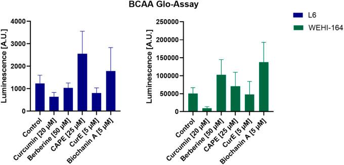 https://cdn.ncbi.nlm.nih.gov/pmc/blobs/de75/11701009/ba2abc9c5110/fcell-12-1476007-g017.jpg