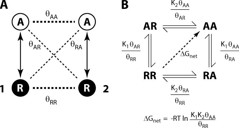 https://cdn.ncbi.nlm.nih.gov/pmc/blobs/de76/3514737/f03c9f52d3c8/JGP_201210840_Fig1.jpg