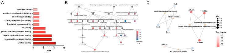 https://cdn.ncbi.nlm.nih.gov/pmc/blobs/de79/11762803/573c740c40d2/biomedicines-13-00192-g004.jpg