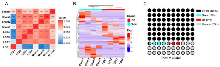 https://cdn.ncbi.nlm.nih.gov/pmc/blobs/de79/11762803/9099e36190b8/biomedicines-13-00192-g001.jpg