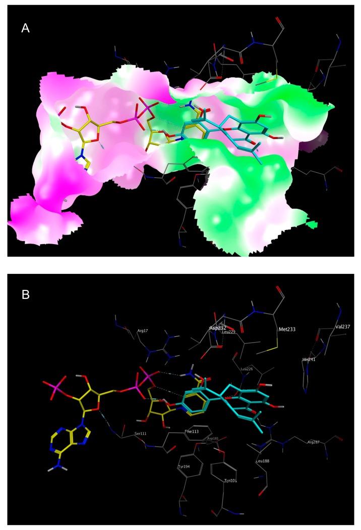 https://cdn.ncbi.nlm.nih.gov/pmc/blobs/de79/6149668/32daff740dd6/molecules-22-02166-g007.jpg