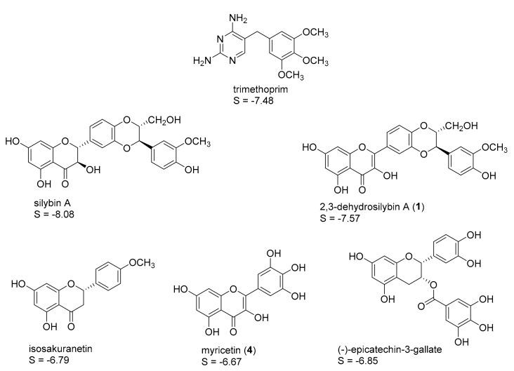 https://cdn.ncbi.nlm.nih.gov/pmc/blobs/de79/6149668/771d791bd1be/molecules-22-02166-g002.jpg