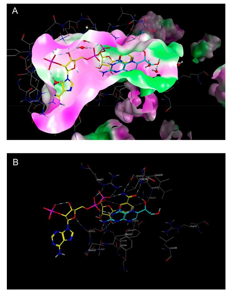 https://cdn.ncbi.nlm.nih.gov/pmc/blobs/de79/6149668/d338528a0861/molecules-22-02166-g005.jpg