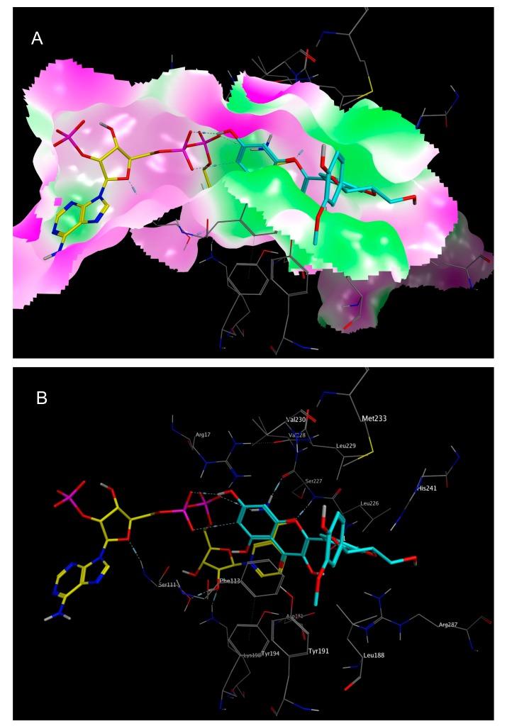 https://cdn.ncbi.nlm.nih.gov/pmc/blobs/de79/6149668/e54b1462fac2/molecules-22-02166-g006.jpg