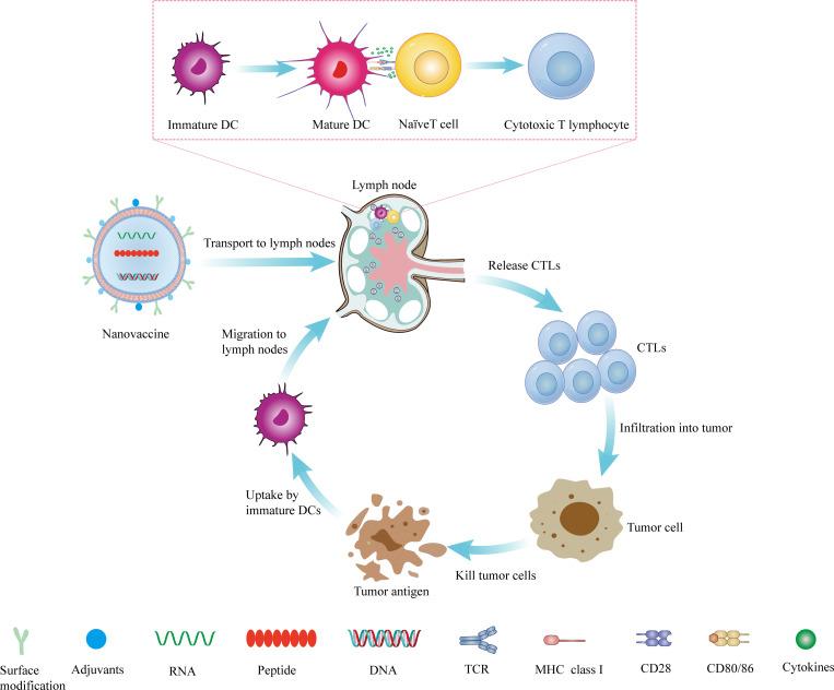 https://cdn.ncbi.nlm.nih.gov/pmc/blobs/de7a/10484753/b1789d00ba03/fonc-13-1211262-g001.jpg