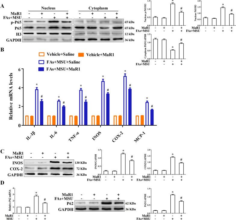 https://cdn.ncbi.nlm.nih.gov/pmc/blobs/de7a/10668345/024c63360c1b/10020_2023_756_Fig1_HTML.jpg
