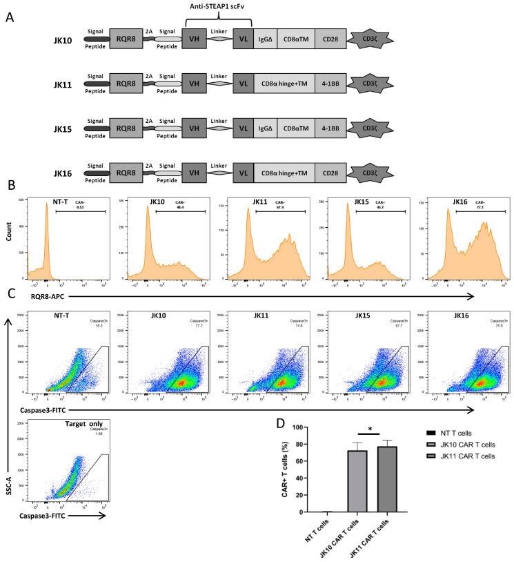 https://cdn.ncbi.nlm.nih.gov/pmc/blobs/de7e/10778617/32b9fa34b664/ijms-25-00586-g001.jpg
