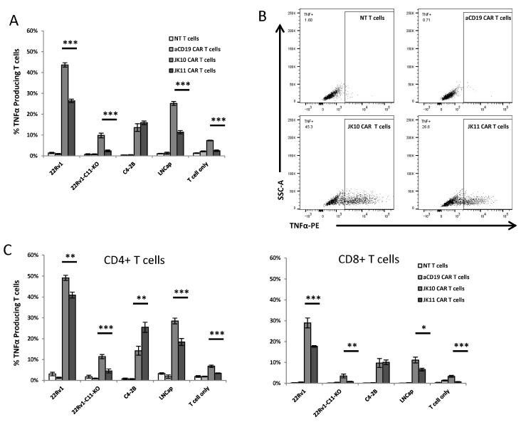 https://cdn.ncbi.nlm.nih.gov/pmc/blobs/de7e/10778617/889c28ce9d8b/ijms-25-00586-g003.jpg