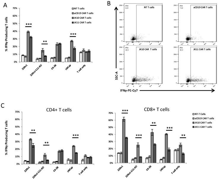 https://cdn.ncbi.nlm.nih.gov/pmc/blobs/de7e/10778617/f761f8970d75/ijms-25-00586-g002.jpg